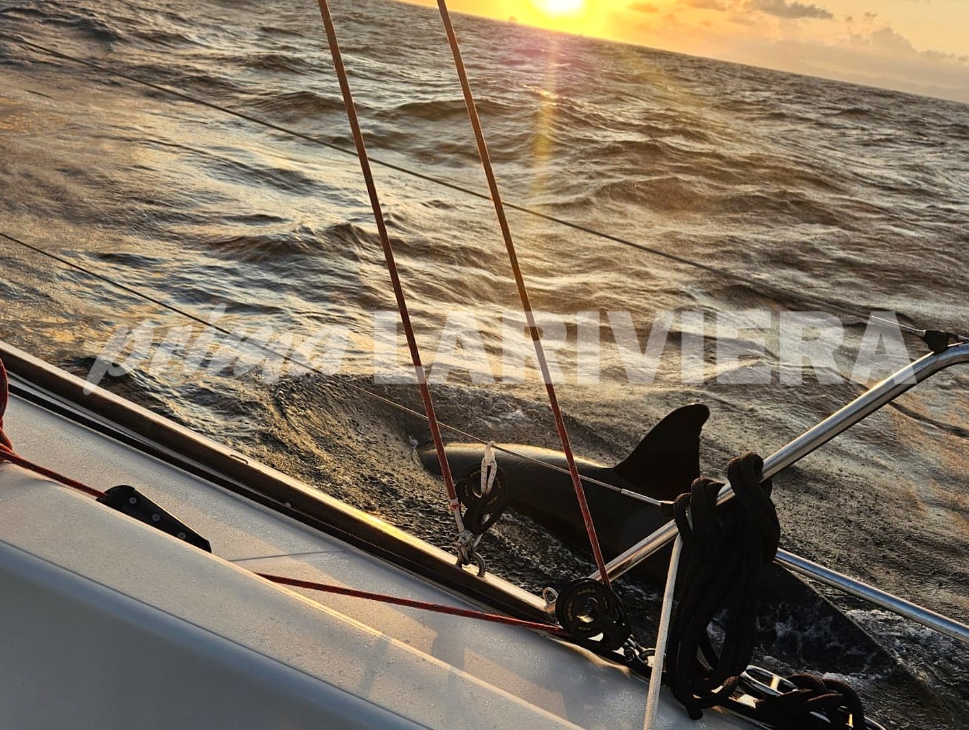 alessandro tosetti yacht club sanremo vela barca solitaria orche_05