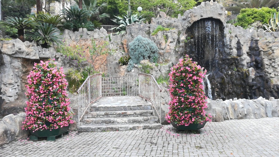 fiori 3