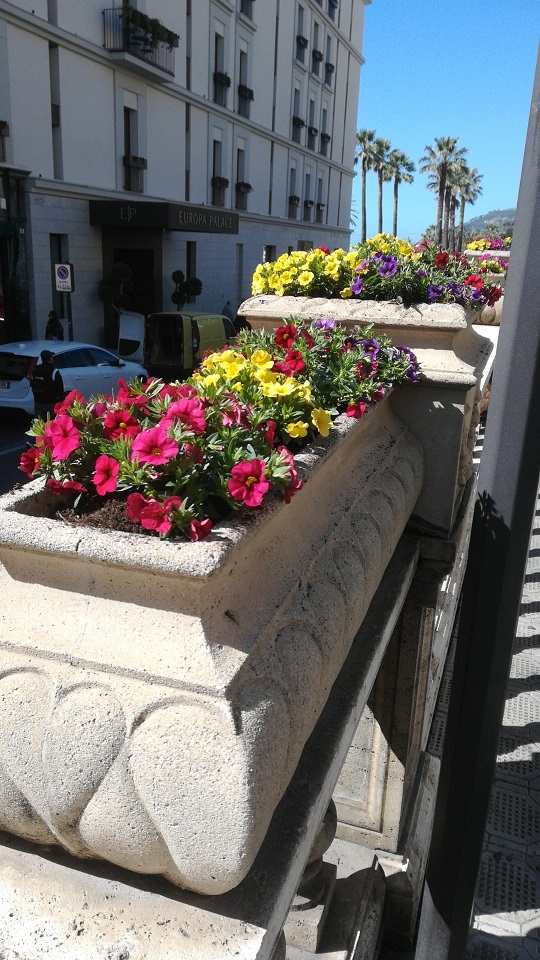 fiori 4