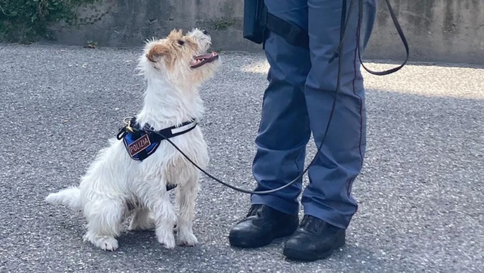 “Leone” e “Zekkin” nelle scuole con l’unità cinofila