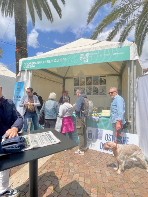 La Regione stanzia 600mila euro per il comparto pesca e acquacultura