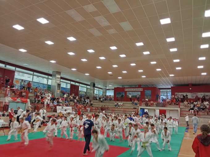 Sharin Cup