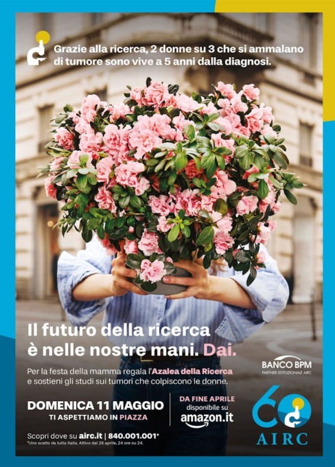 A Dolceacqua e in val Nervia l’Azalea della ricerca Airc