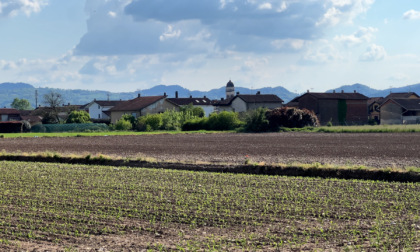 Al via agli aiuti alle imprese danneggiati dalle gelate del 2021