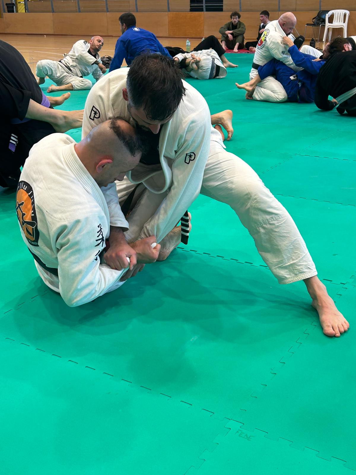 ju jitsu BJJ Spring Break (1)