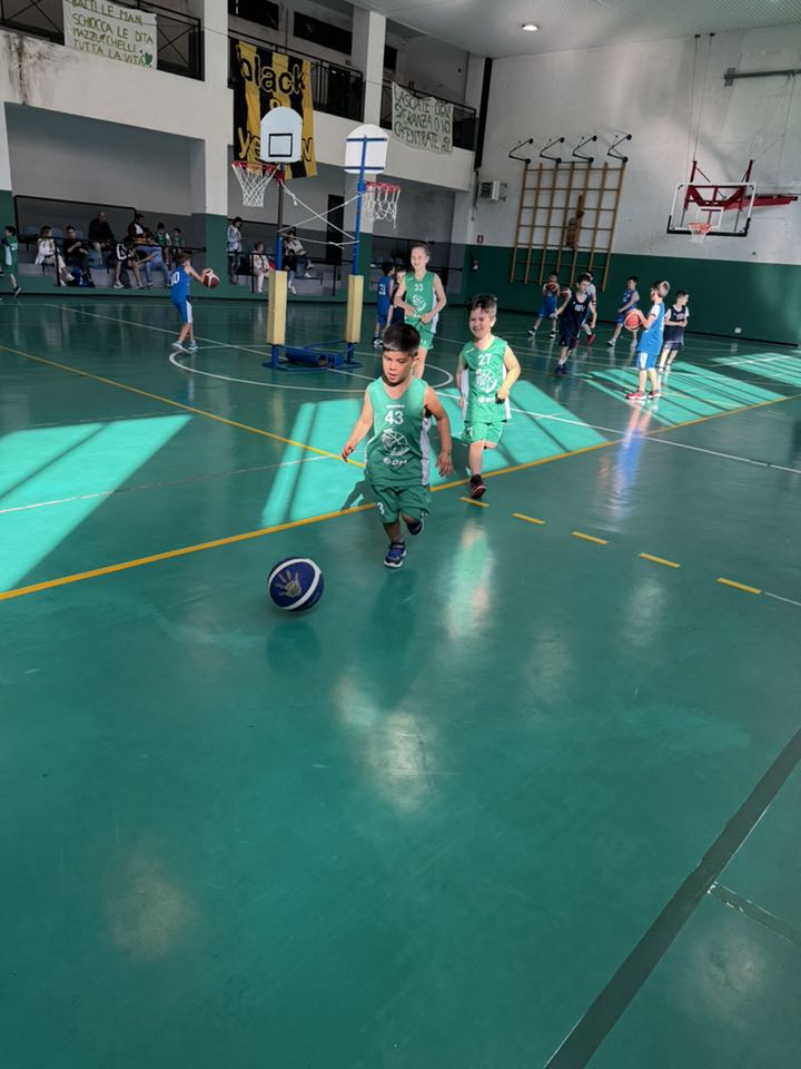 raduno minibasket (3)