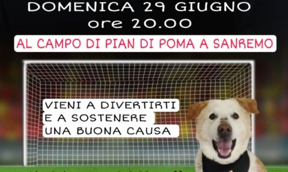 Tutti in campo per Kim, il cane con la t-shirt blu