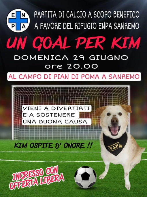 Tutti in campo per Kim, il cane con la t-shirt blu