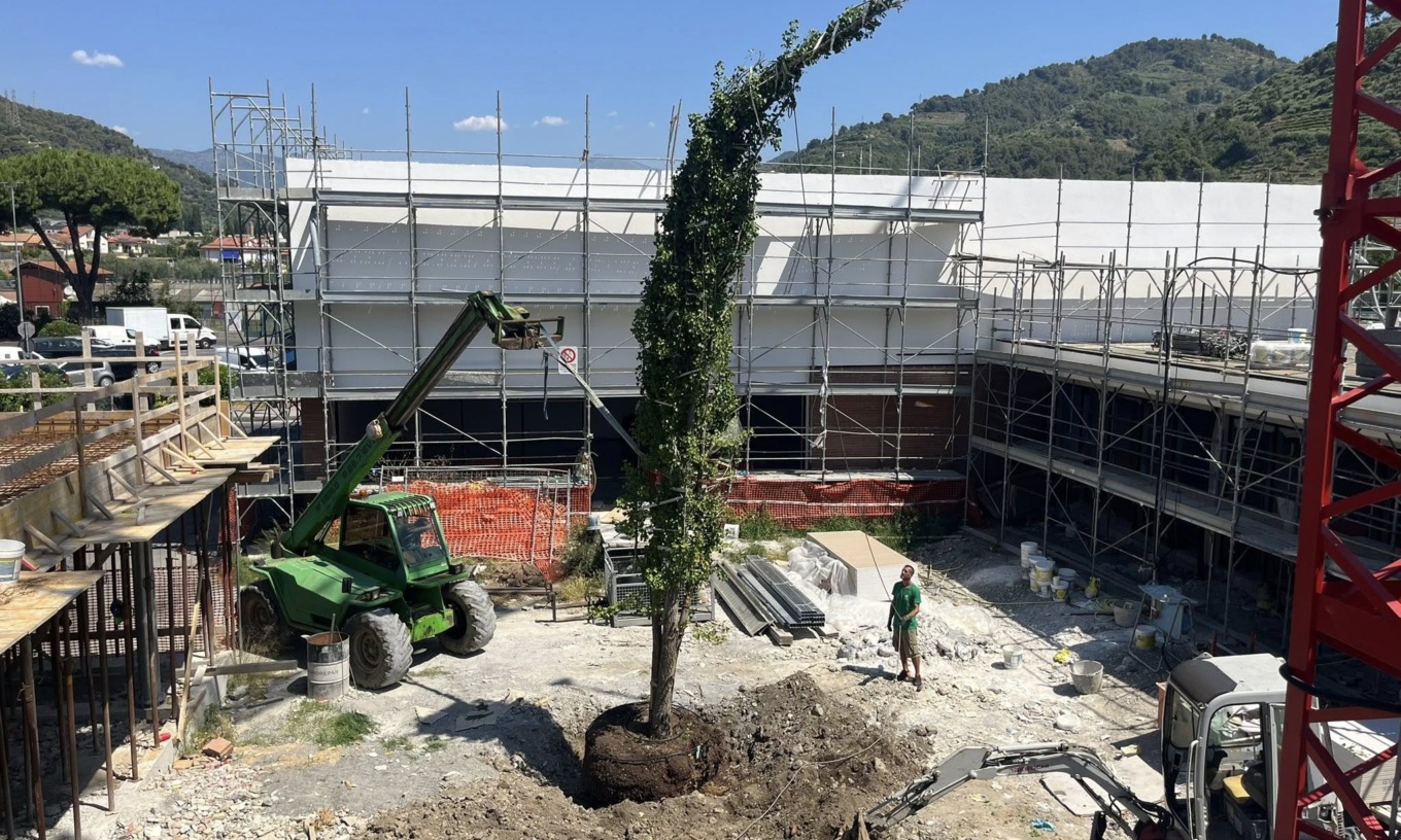 Piantato l'albero della vita nel cortile della nuova scuola di Camporosso