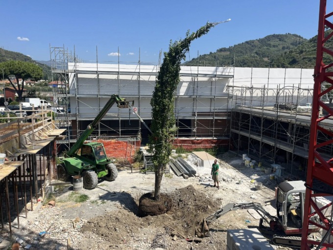 Piantato l’albero della vita nel cortile della nuova scuola di Camporosso
