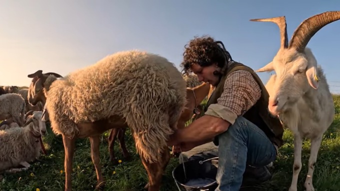 Il fascino della transumanza sulle Alpi Liguri in viaggio con il giovane pastore Claudio e le sue capre e pecore