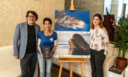 Donato all'Istituto Tethys un obiettivo fotografico per la ricerca dall'Hotel Nazionale