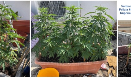 In auto con sette contenitori di maijuana. Uomo fermato in autostrada