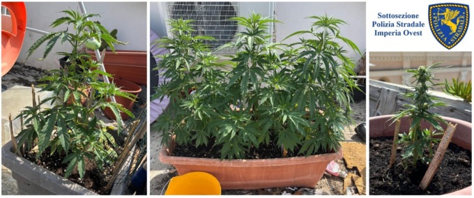 In auto con sette contenitori di maijuana. Uomo fermato in autostrada