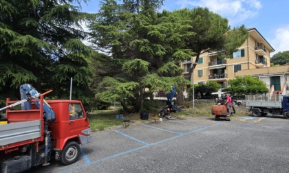 Restyling del Villaggio dei Fiori di Cervo
