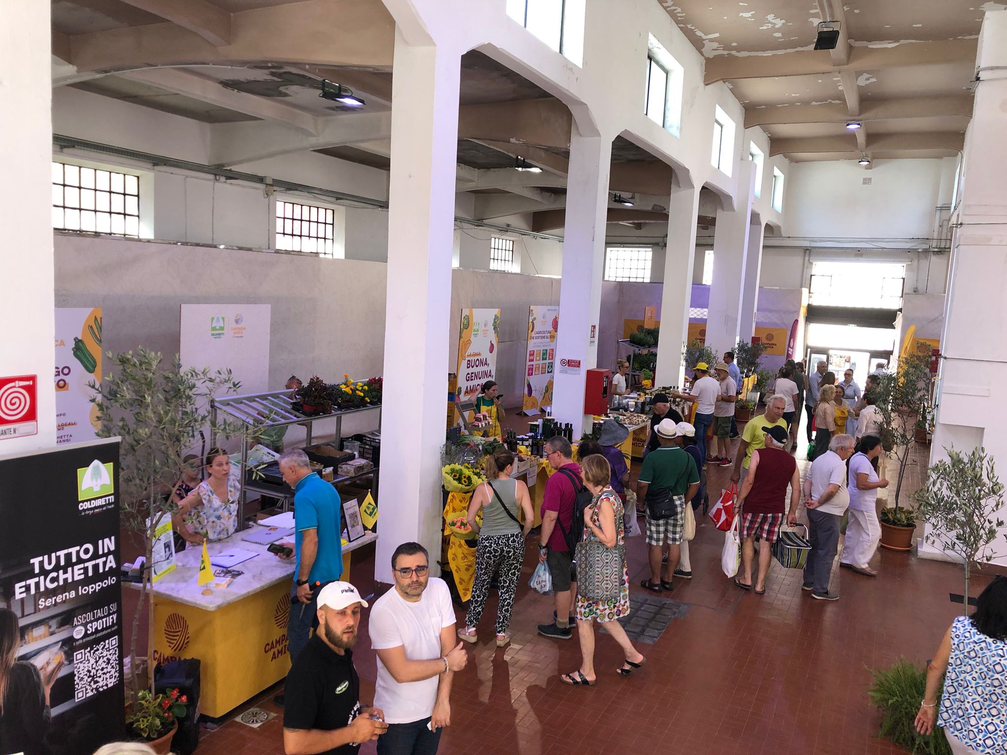 inaugurazione mercato oneglia (8)