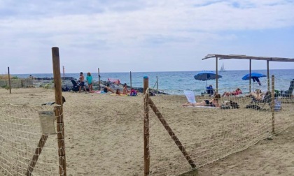 Riaperta la spiaggia per cani alla Darsena
