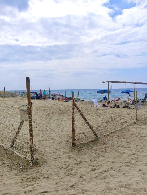 Riaperta la spiaggia per cani alla Darsena
