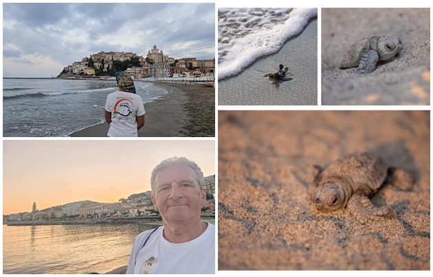 A caccia di nidi di tartarughe nel Ponente. “Ad oggi l’unico confermato in Liguria è a Celle Ligure”