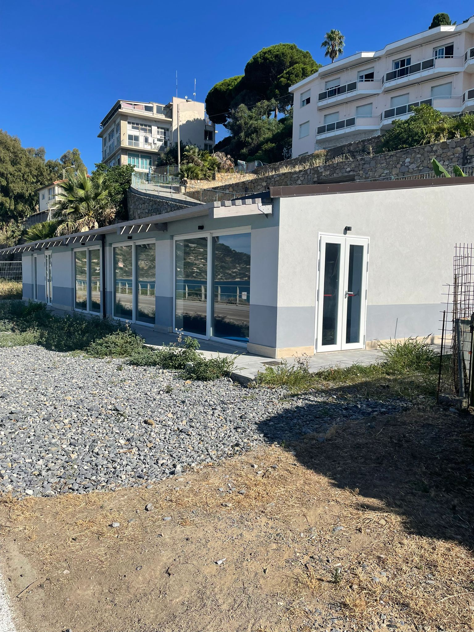1000075447