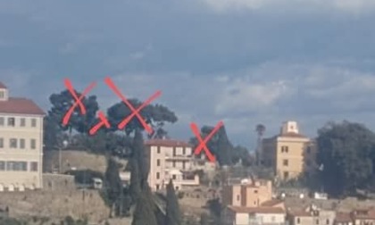 Il Pat chiede chiarimenti sulla sorte del verde pubblico sotto il Santurario della Madonna della Costa