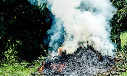 Liguria in grave pericolosità incendi boschivi