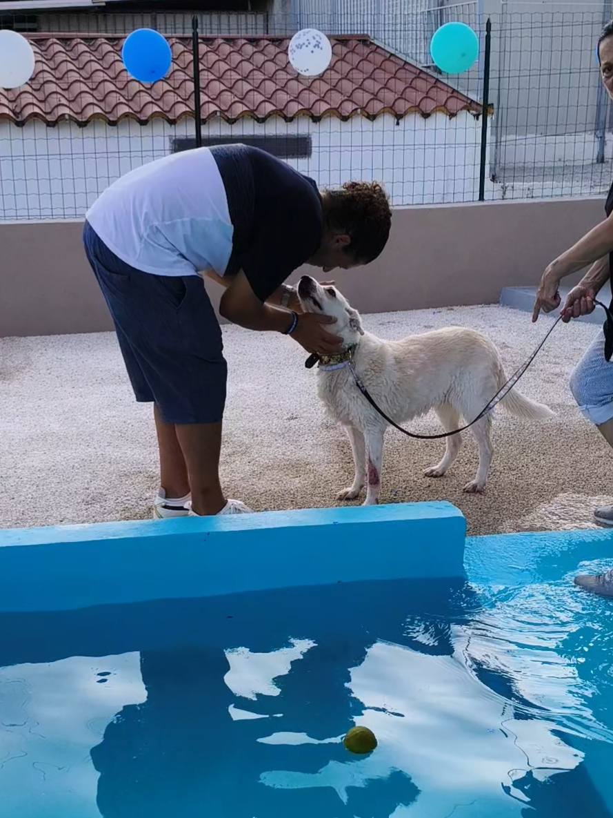 enpa piscina cani 10