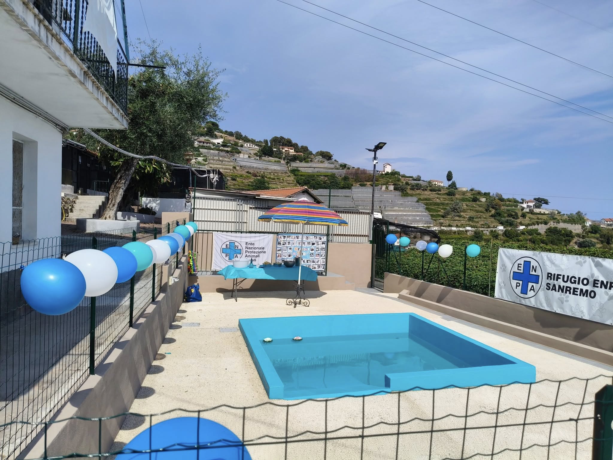 enpa piscina cani 2