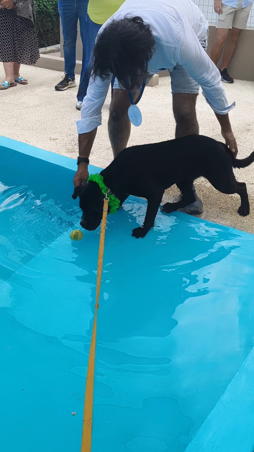 enpa piscina cani 8