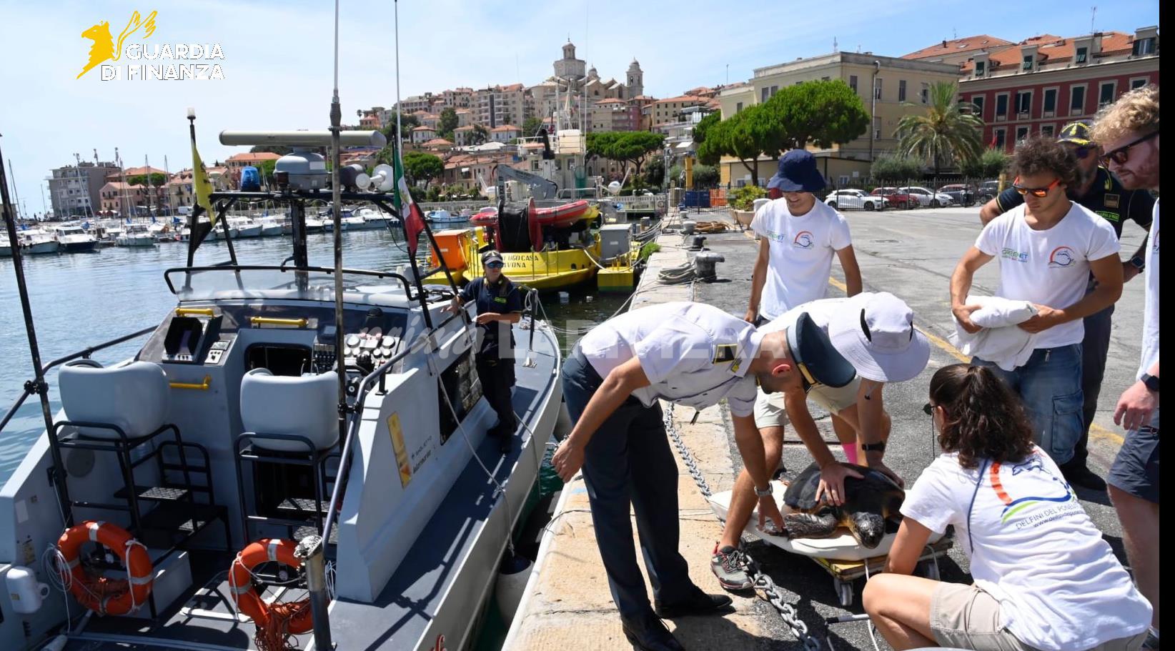 guardia di finanza tartaruga caretta caretta recupero salvataggio_04