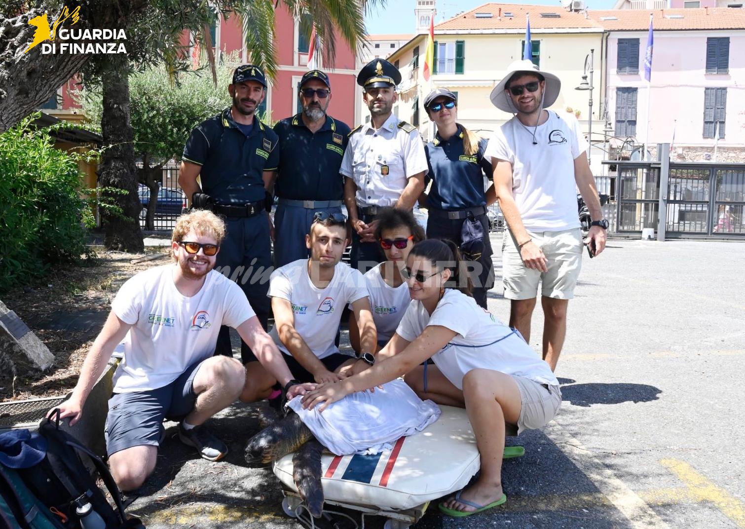 guardia di finanza tartaruga caretta caretta recupero salvataggio_05
