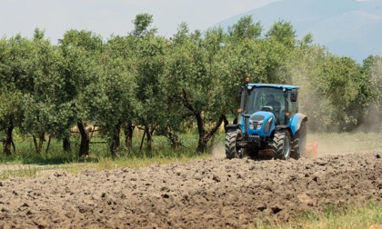 Punto da un insetto ha una reazione allergica e cade dal trattore