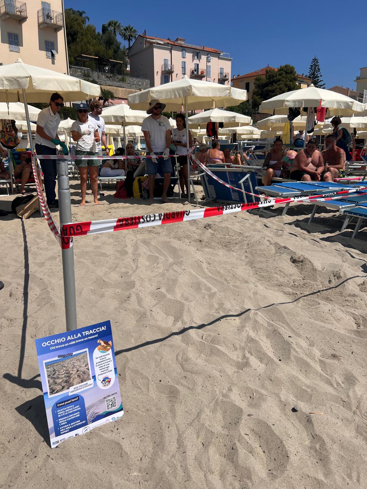 tartaruga uova lido annunziata arma