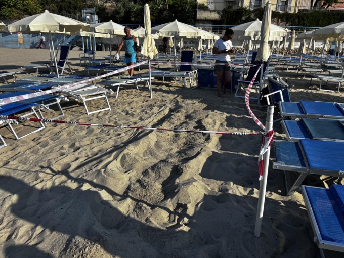 Tartarughe Caretta Caretta