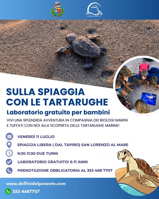Tartarughe Caretta Caretta
