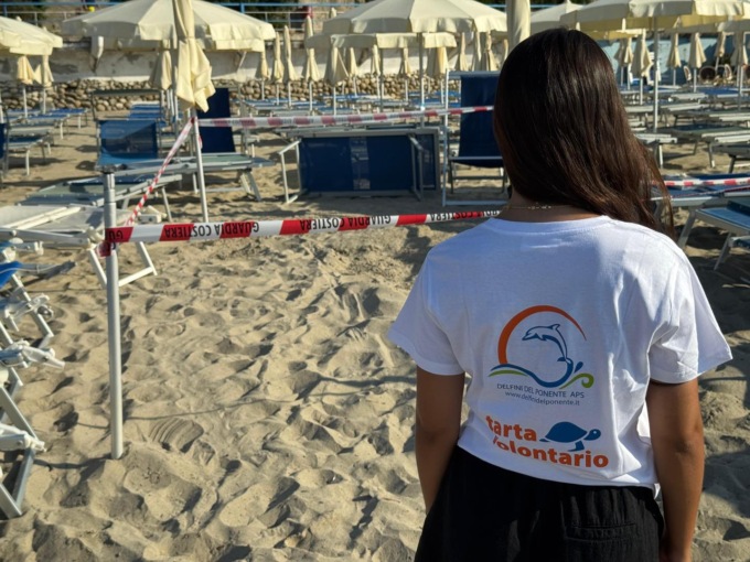 Tartarughe Caretta Caretta