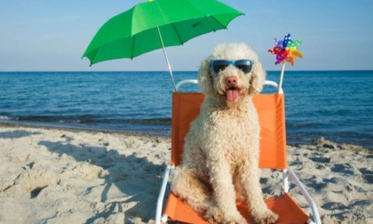 Apre la spiaggia pet friendly al Parco Urbano