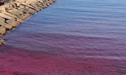 L'acqua del mare si tinge di rosso-violaceo: è mistero a Santo Stefano
