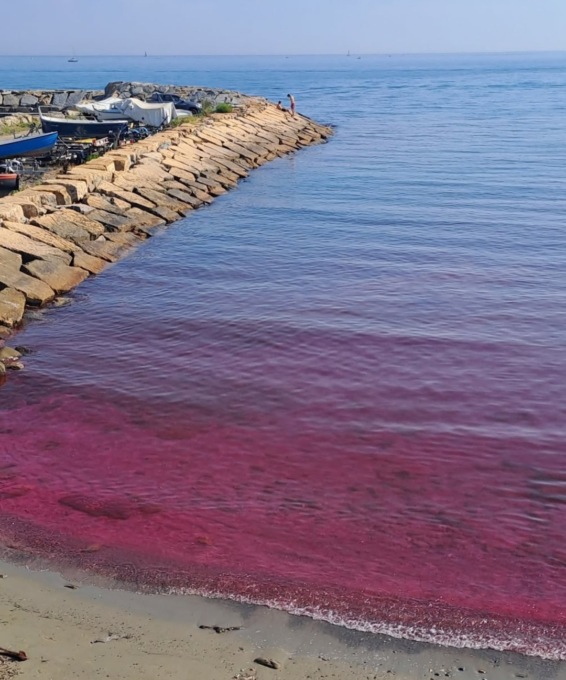 L’acqua del mare si tinge di rosso-violaceo: è mistero a Santo Stefano