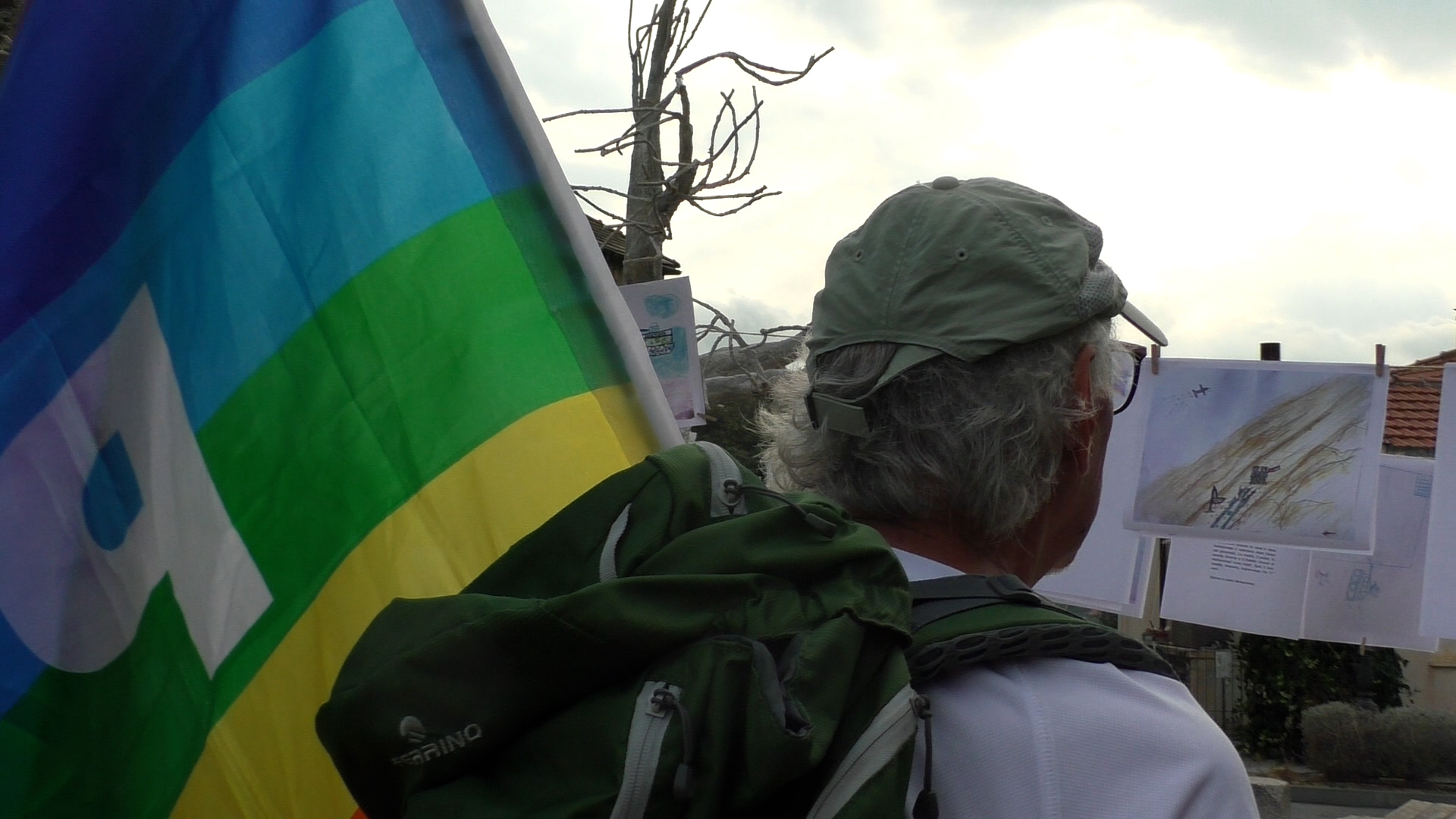 Cervo Gaza (2)