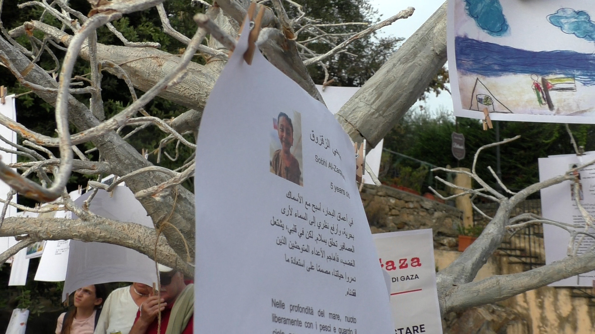Cervo Gaza (4)