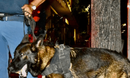 Controlli straordinari antidroga a Ventimiglia