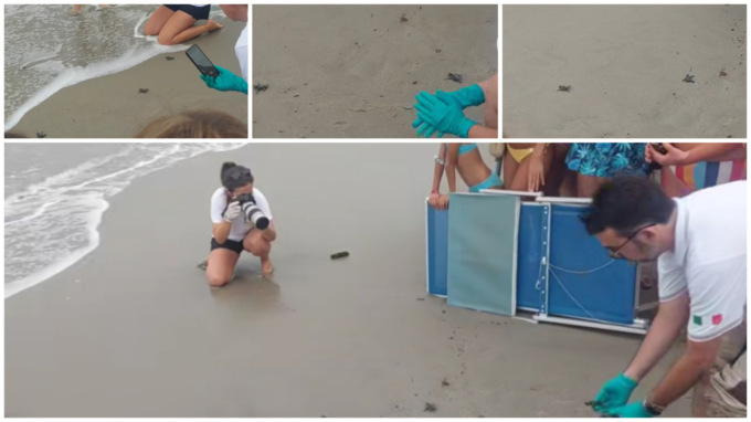 Oltre 40 “tartarughini” Caretta caretta guadagnano il mare