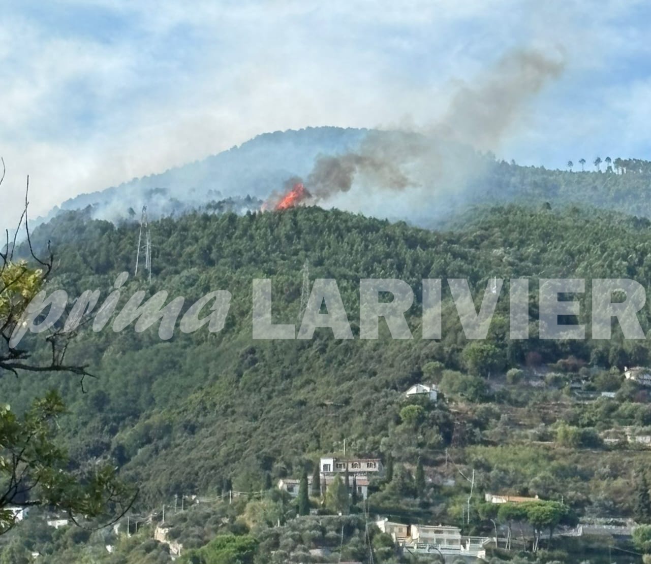 batch_incendio alture sanremo borello pian della castagna 29 agosto 2025_02