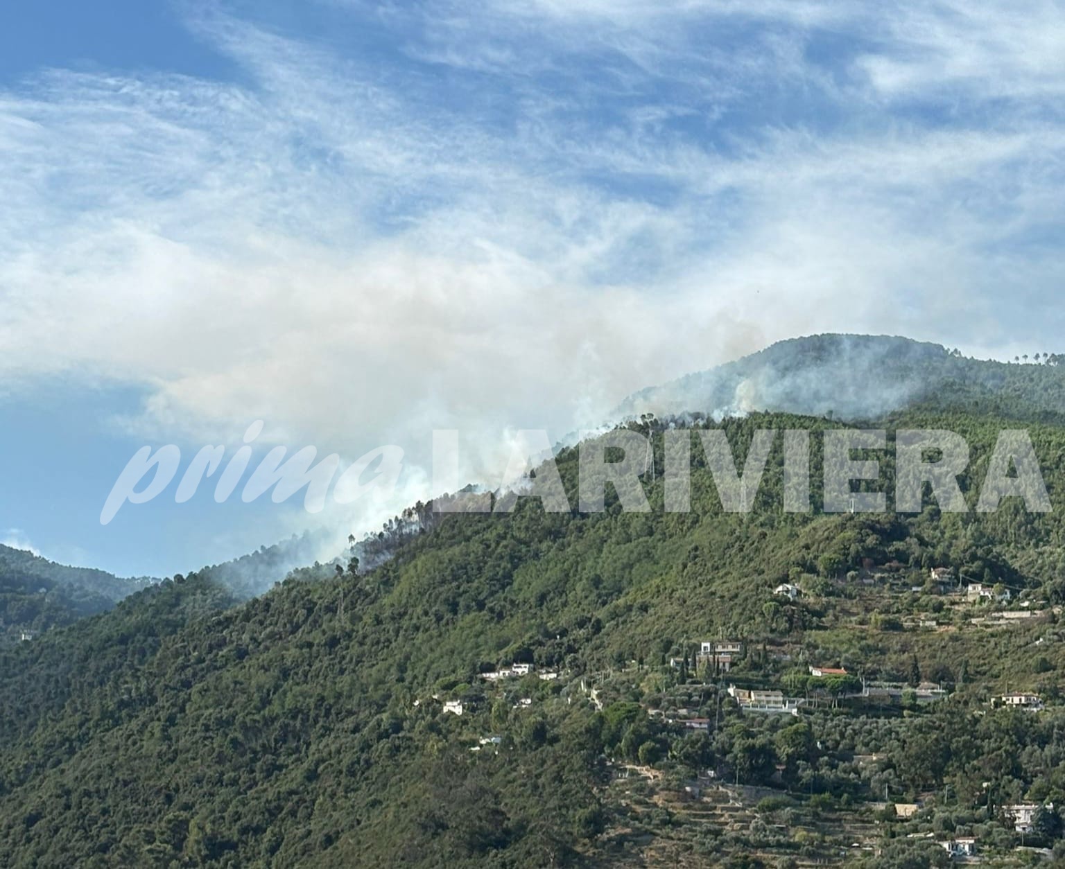 batch_incendio alture sanremo borello pian della castagna 29 agosto 2025_03