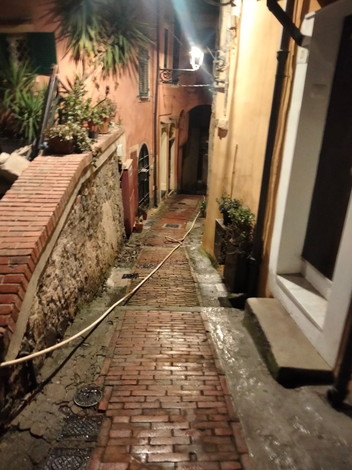 lavaggi pigna