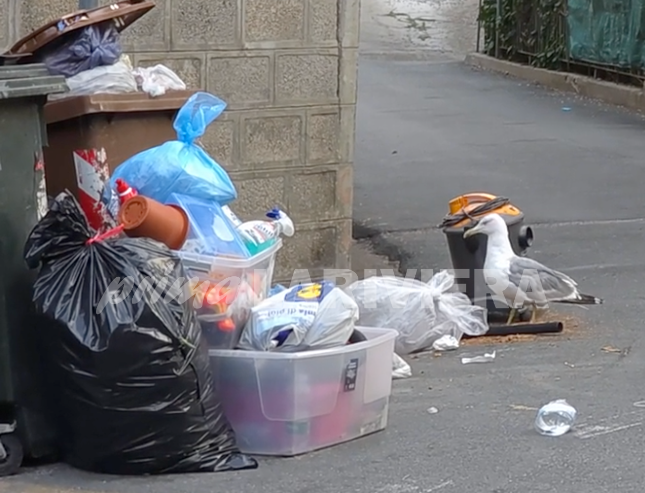 spazzatura rifiuti strada san martino