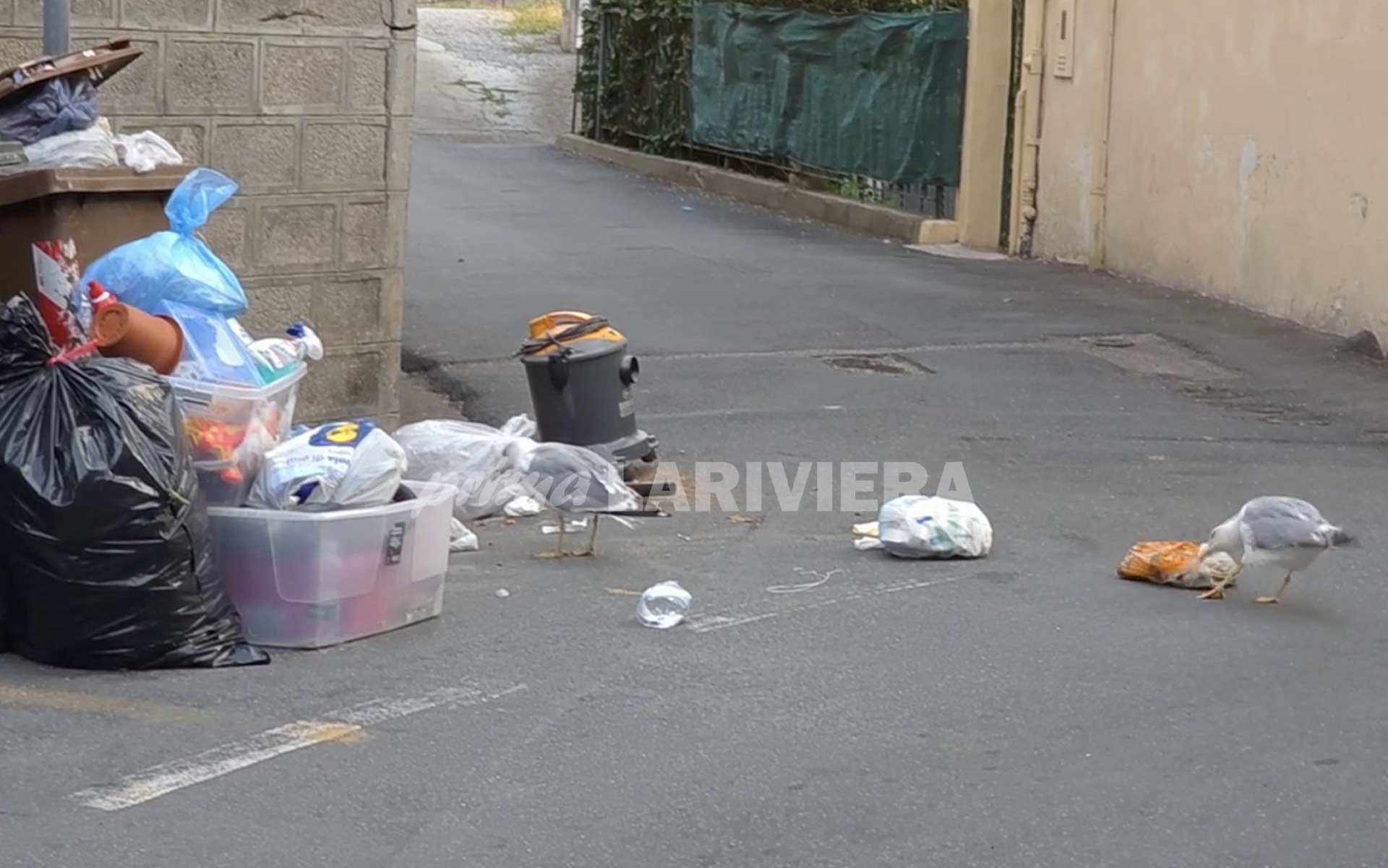 spazzatura rifiuti strada san martino_02_risultato