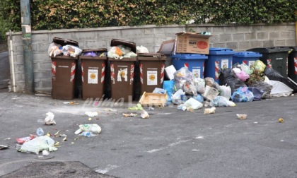 San Martino una "fogna" a cielo aperto: rifiuti per strada e gabbiani che banchettano