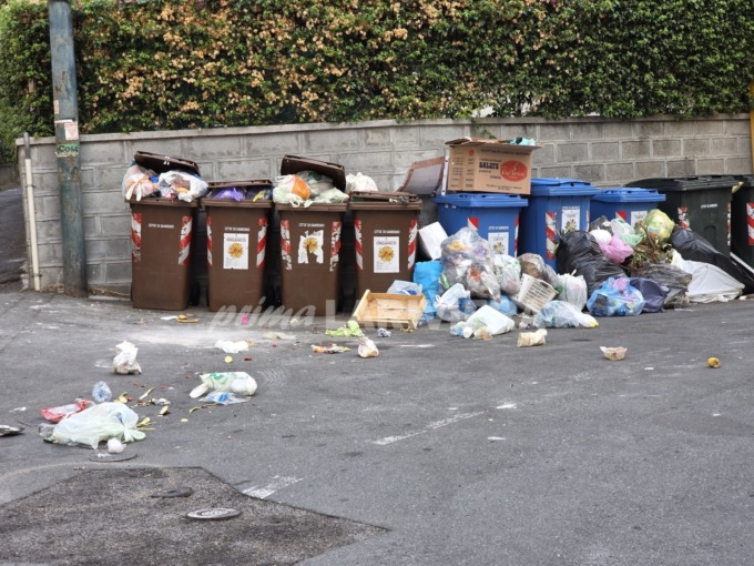 San Martino una “fogna” a cielo aperto: rifiuti per strada e gabbiani che banchettano